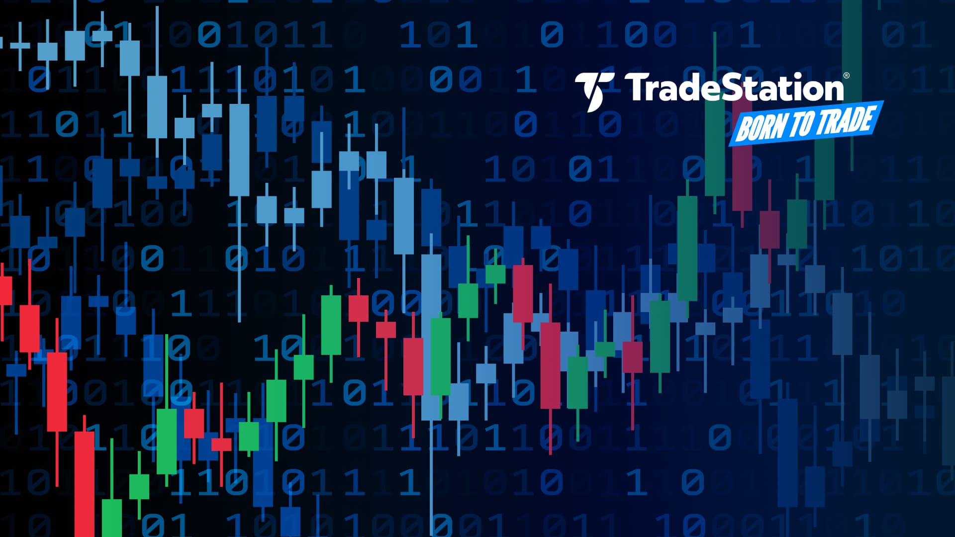 Born-to-Trade-Thumbnail.jpg